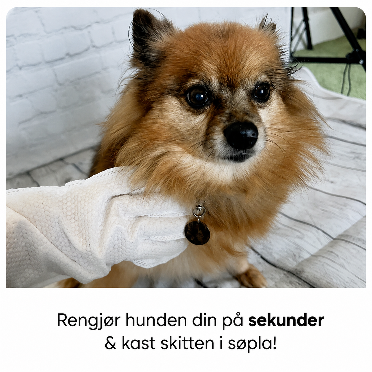 Rengjøringshansker for hund og katt