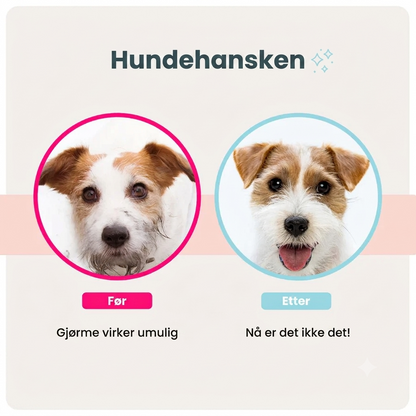 Rengjøringshansker for hund og katt